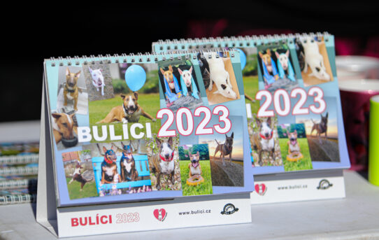 Kalendář BULÍCI 2023