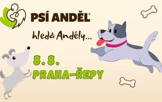 Psí den pro útulky